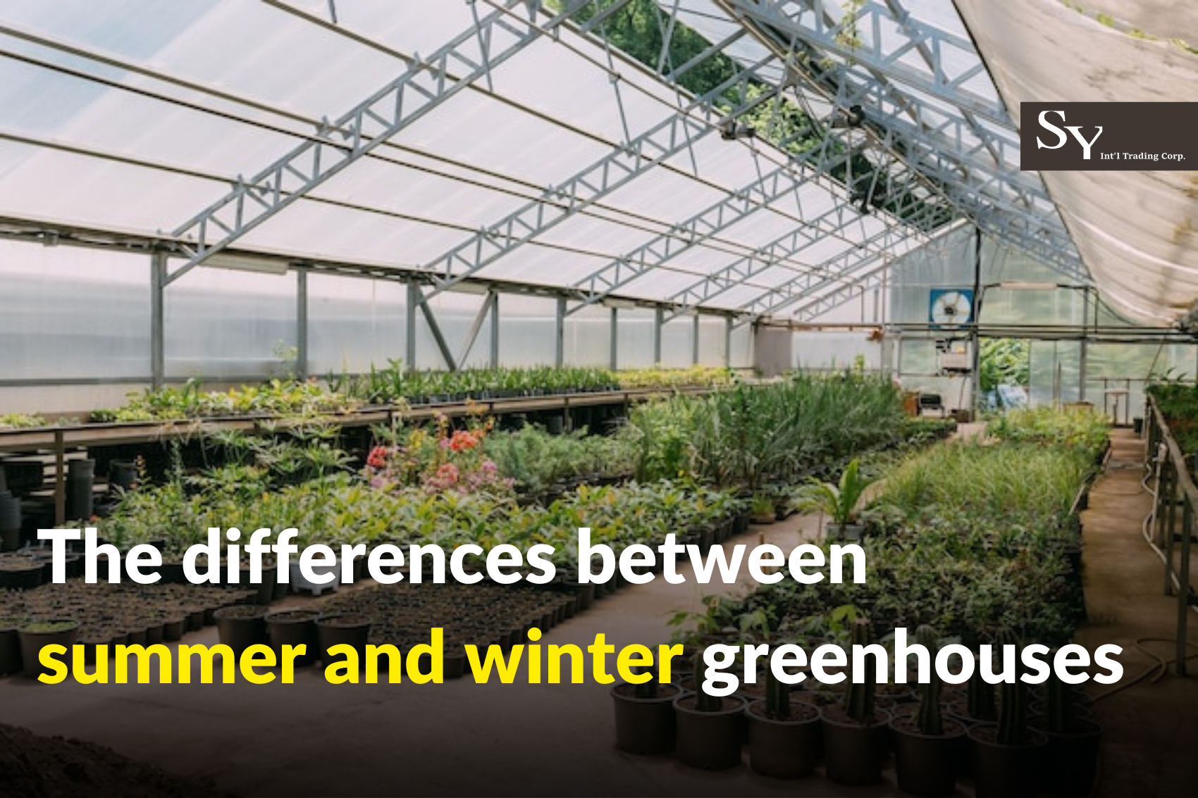 The-differences-between-summer-and-winter-greenhouses SY & CO. INTERNATIONAL TRADING CORPS.